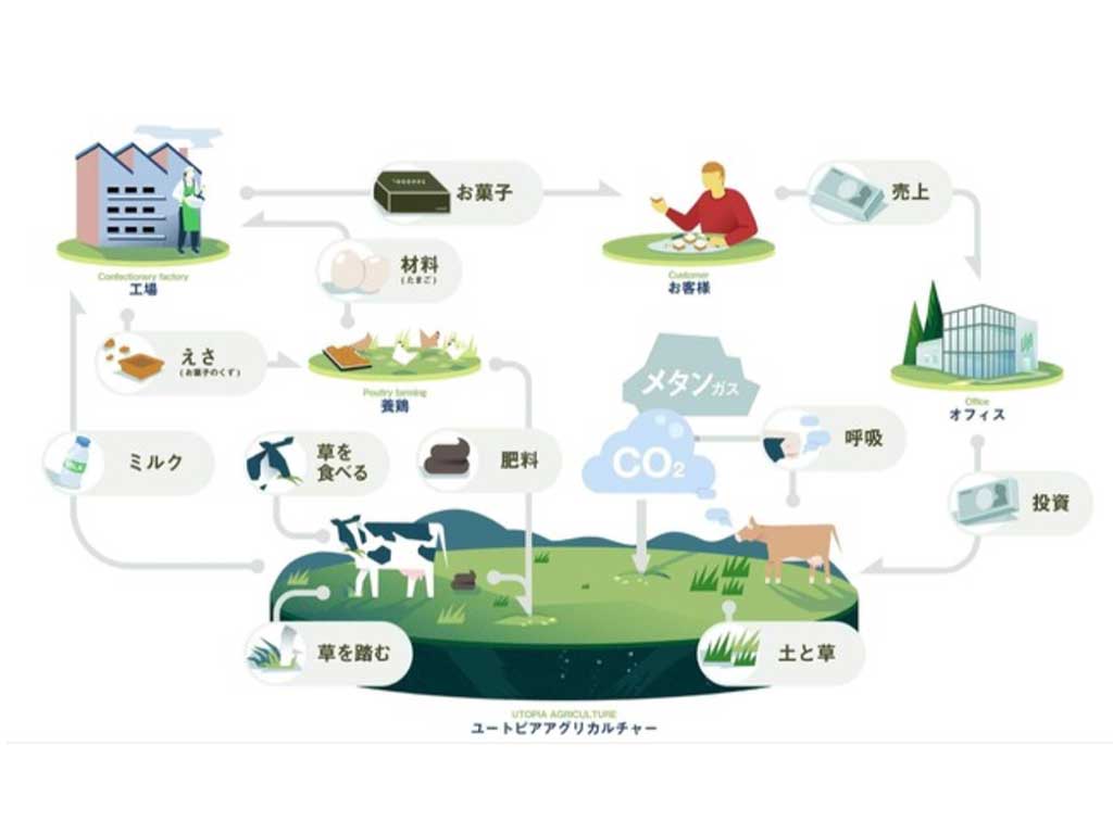 CHEESE WONDER(チーズワンダー)は放牧酪農から地球環境に繋がる研究を北海道大学と連携