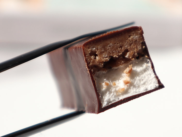 フランクケストナー ラングドシャ チョコレート菓子 断面 食感