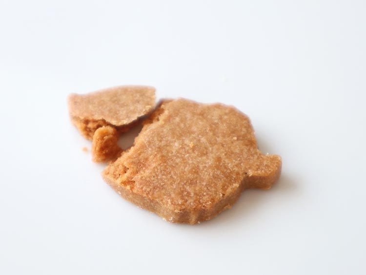 Patisserie GIN NO MORI 銀の森 プティボア 麻布台ヒルズ限定 クッキー缶 どんぐり