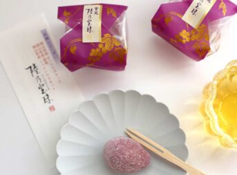 宗家 源吉兆庵 | 果実菓子 自然シリーズ 岡山県産紫苑使用の極上菓子「陸乃宝珠 紫苑」