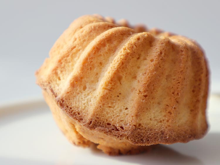 クラシカ (Klasic) クグロフ(ミニ) 見た目の特徴