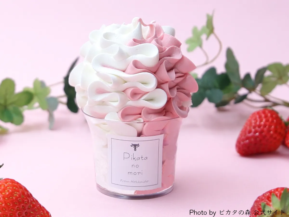 北海道展で話題のピカタの森 芸術ソフト