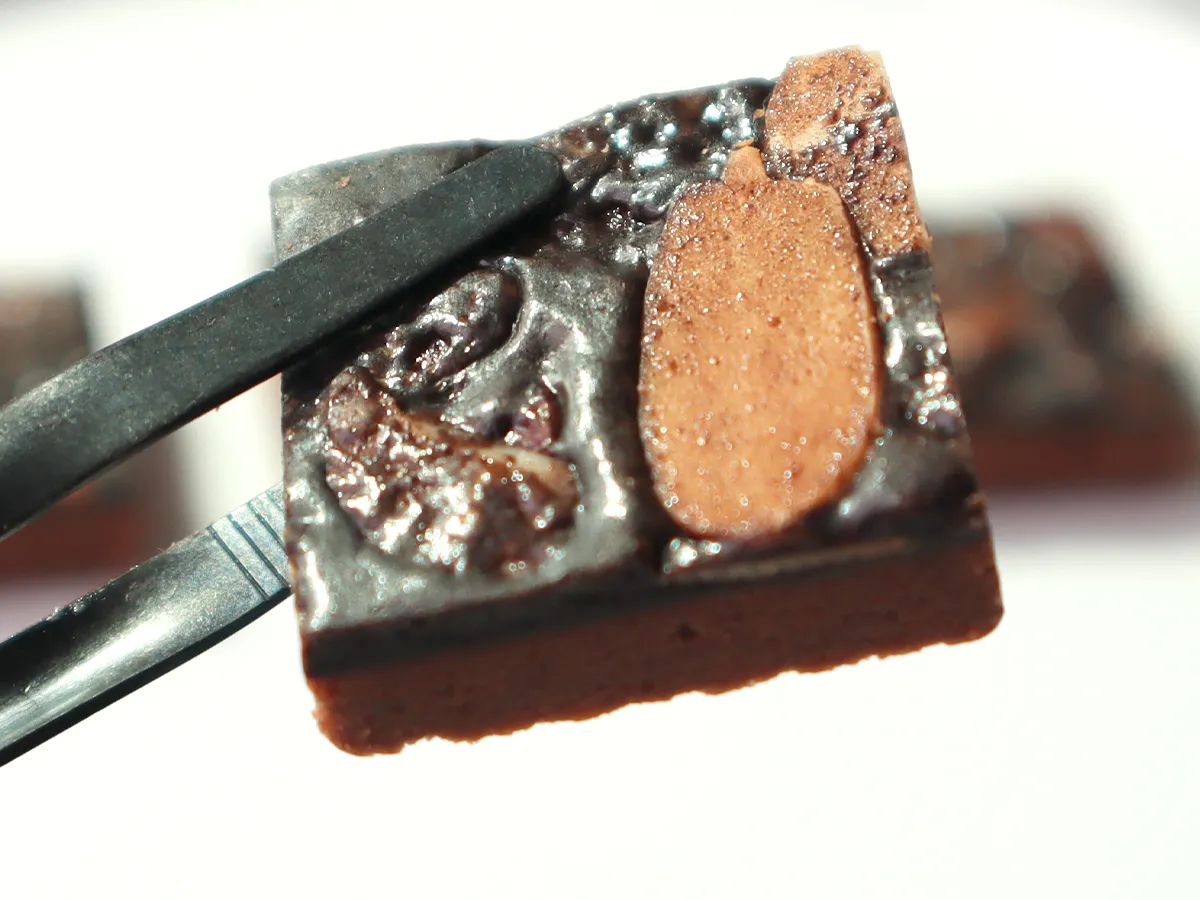 六縣堂フロランタンカカオ香る大人の味わい