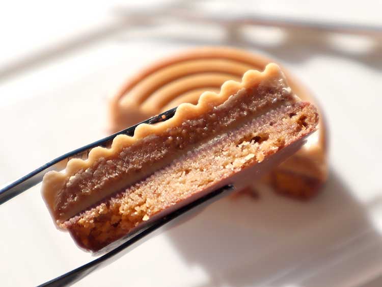 トゥルビヨン バイ ヤン ブリスのサブレ トゥルビヨン（アーモンドプラリネ＆ブロンドチョコレート）